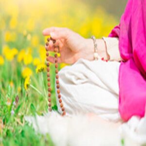 108 Beads Rudraksha Mala