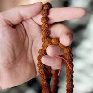 108 Beads Rudraksha Mala