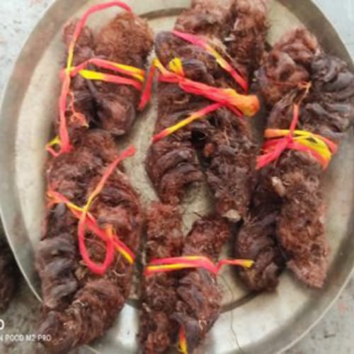 Original and Natural Hatha Jodi (Energized)-Symbol of Divine Power and Prosperity. - Image 4